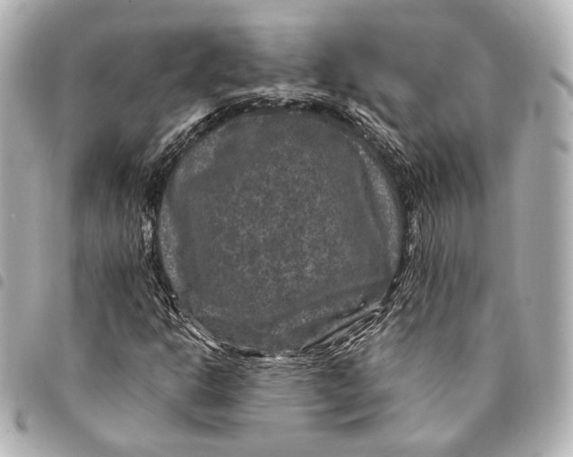 X0000094941302200712201106