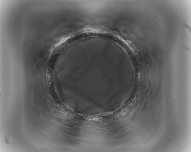 X0000094941303200712201106