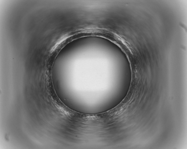 X0000094941304200712201106