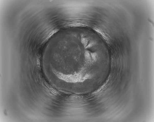 X0000094941305200712201106