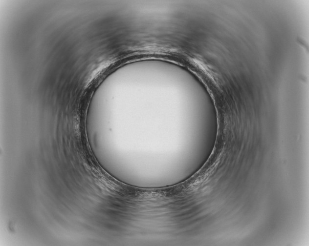 X0000094941307200712201106