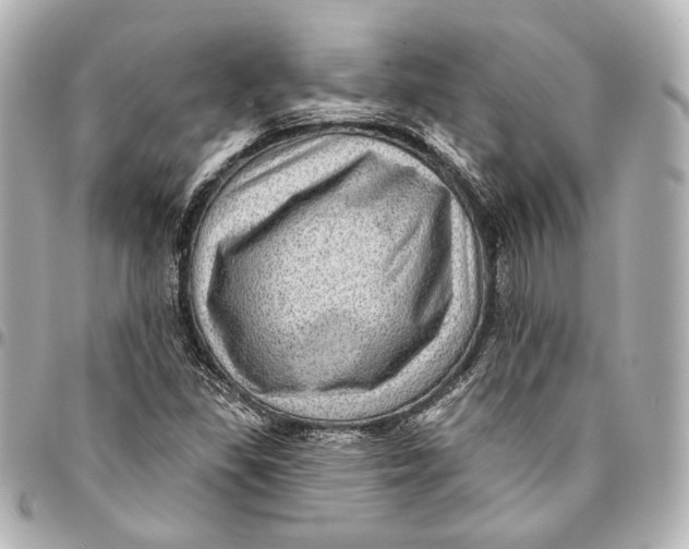 X0000094941309200712201106