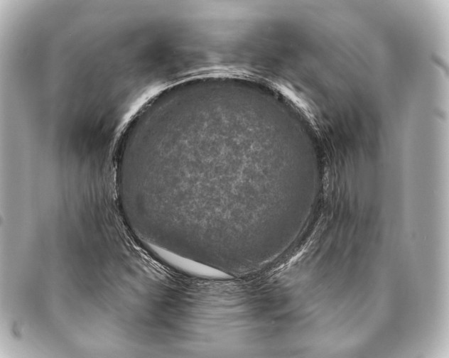 X0000094941310200712201106