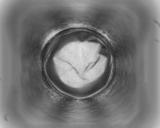 X0000094941311200712201106