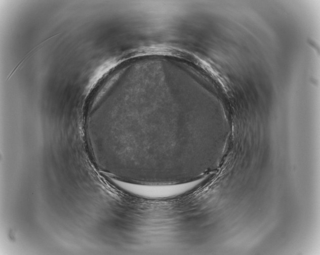 X0000094941312200712201106