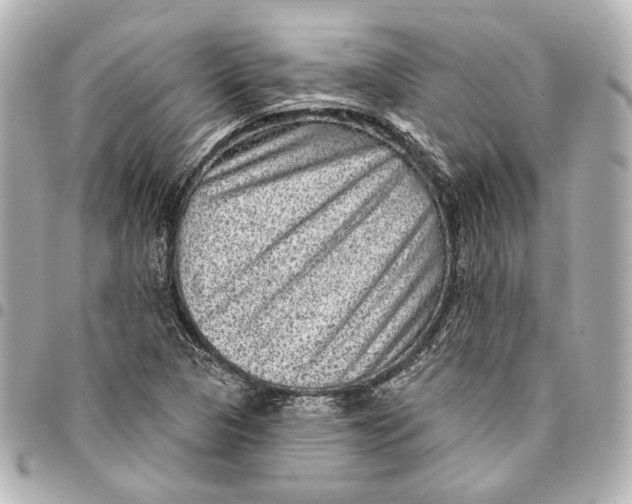 X0000094941313200712201106