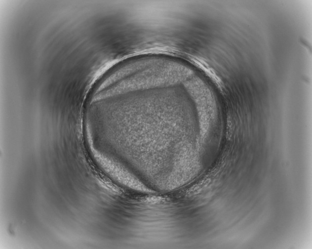 X0000094941316200712201106