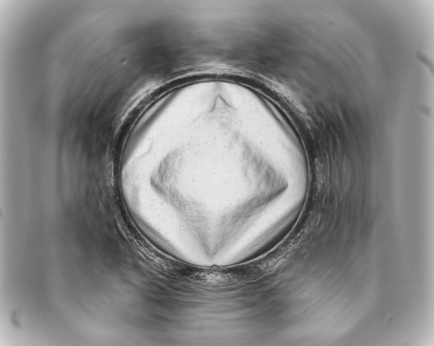 X0000094941318200712201106