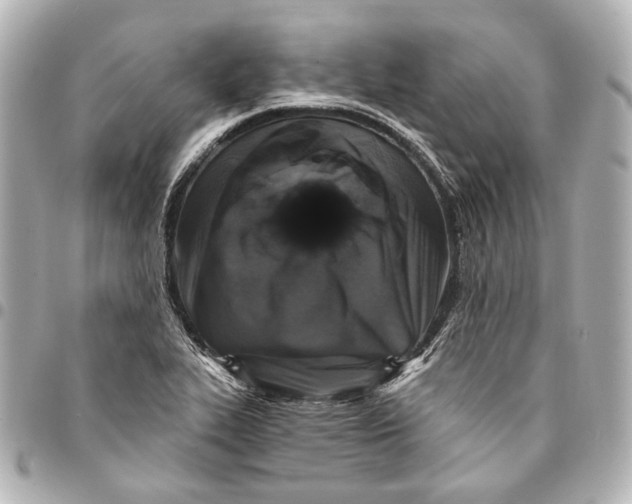 X0000094941319200712201106