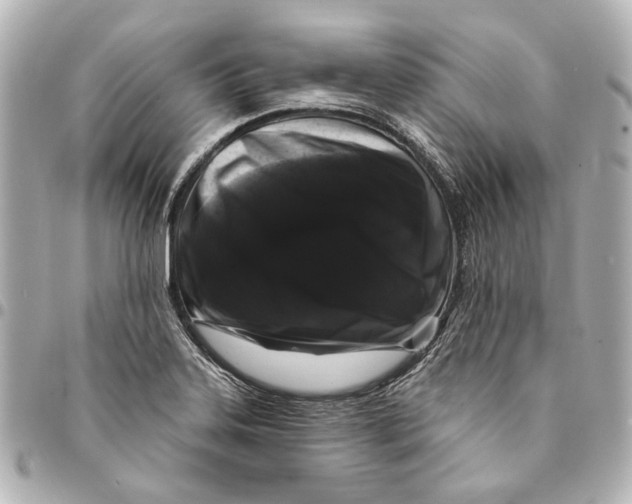 X0000094941323200712201106