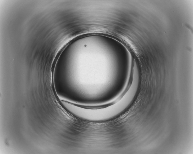 X0000094941324200712201106