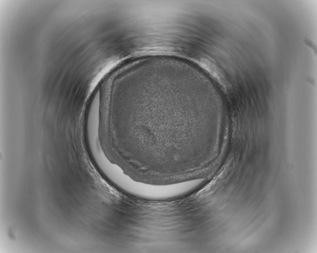 X0000094941325200712201106