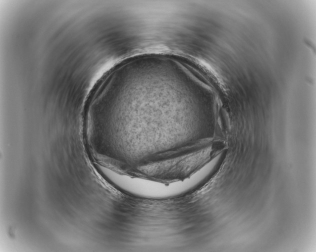 X0000094941326200712201106