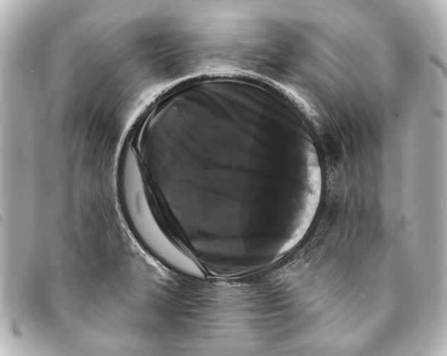 X0000094941327200712201106