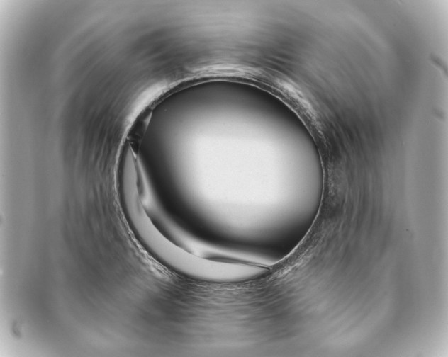 X0000094941328200712201106