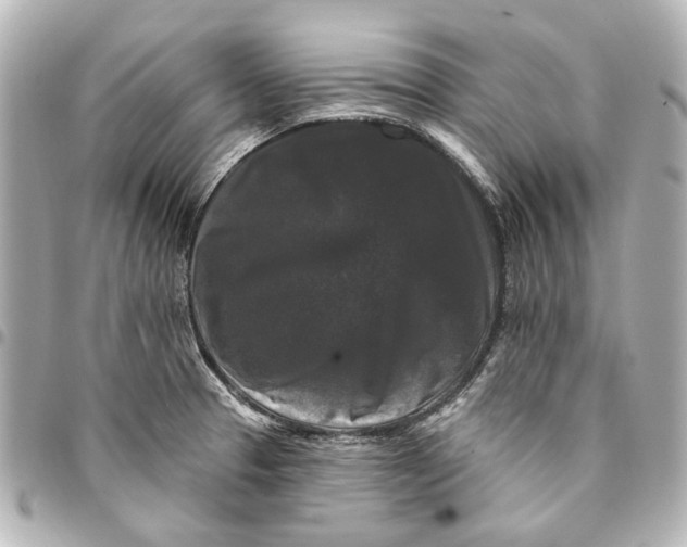 X0000094941329200712201106