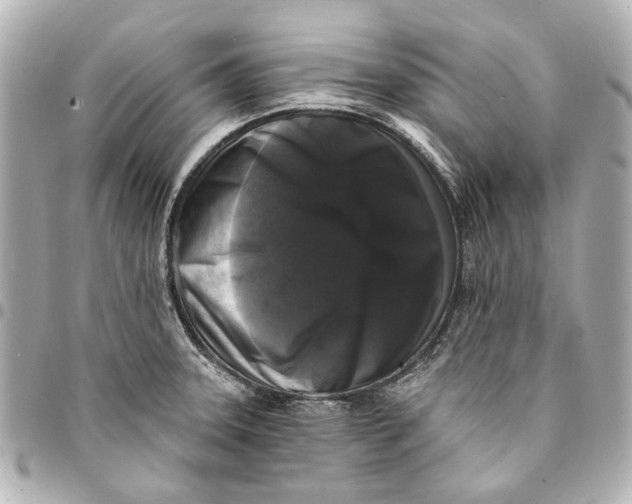 X0000094941331200712201106