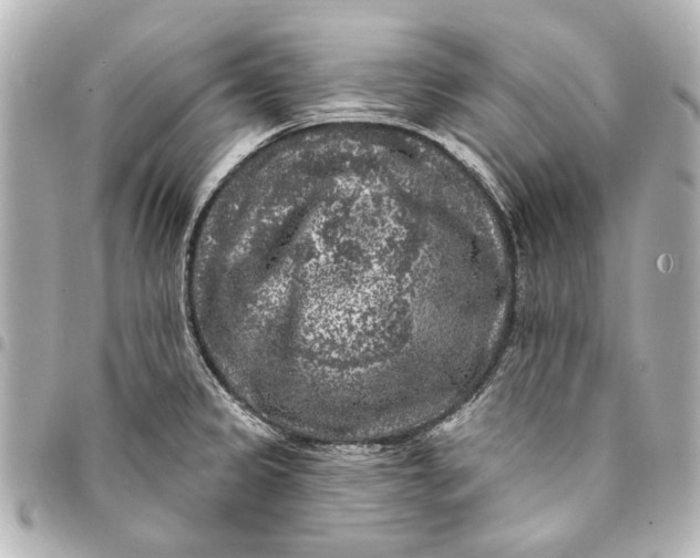 X0000094941333200712201106