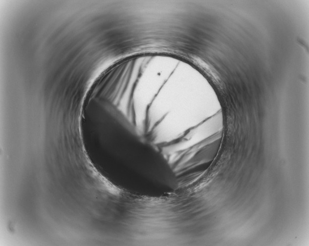 X0000094941334200712201106