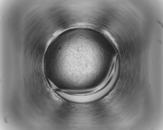 X0000094941336200712201106