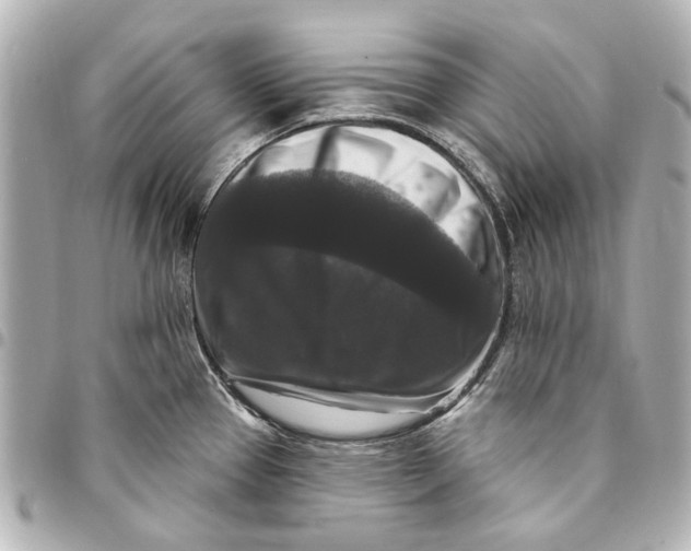 X0000094941337200712201106