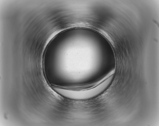 X0000094941339200712201106