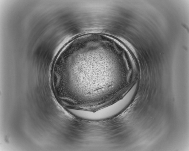 X0000094941341200712201106