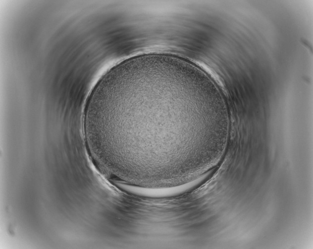 X0000094941342200712201106