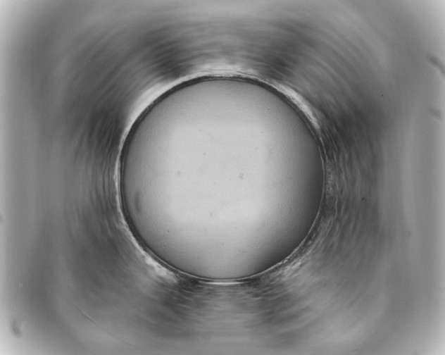 X0000094941343200712201106