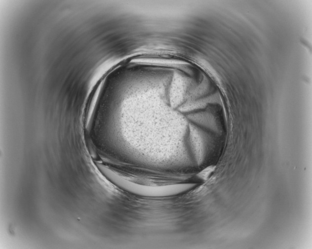 X0000094941344200712201106