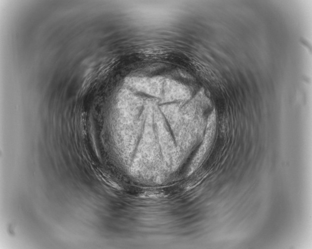 X0000094941346200712201106