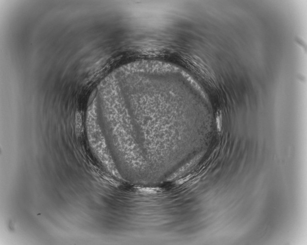 X0000094941347200712201106