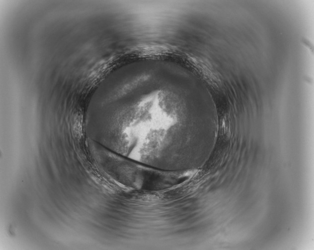 X0000094941348200712201106