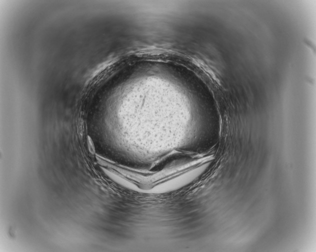 X0000094941350200712201106