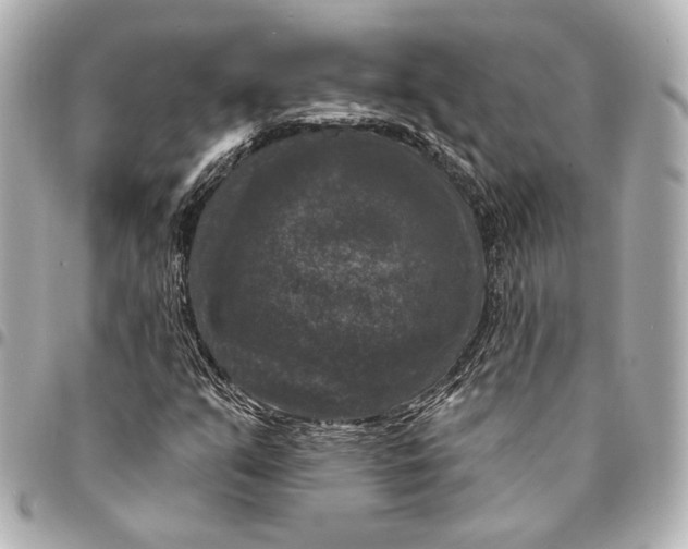 X0000094941351200712201106