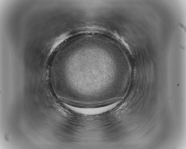 X0000094941352200712201106