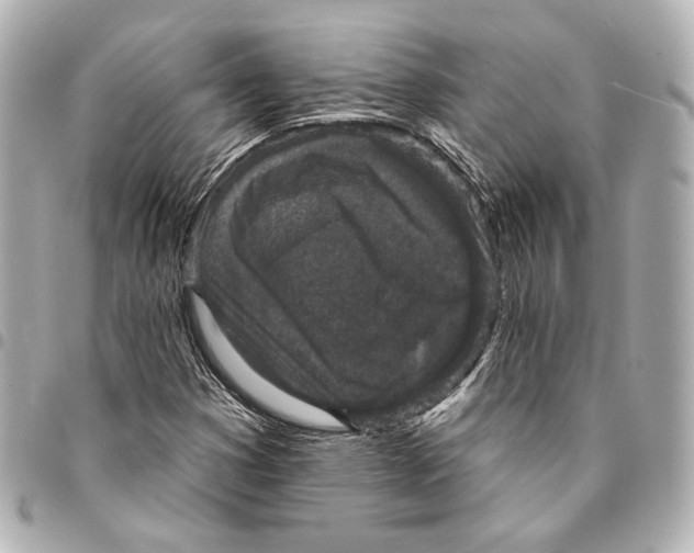 X0000094941353200712201106