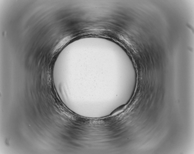 X0000094941354200712201106