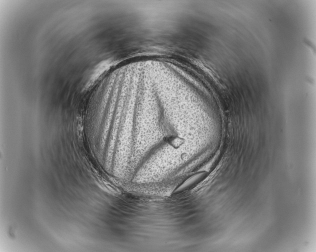 X0000094941355200712201106