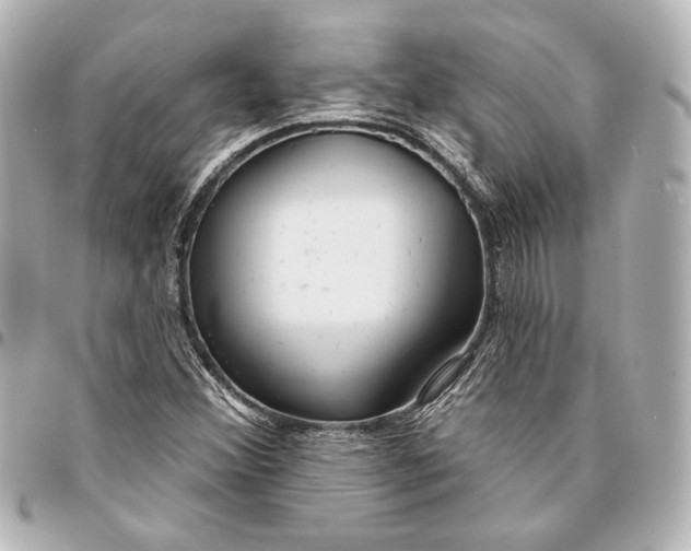 X0000094941356200712201106