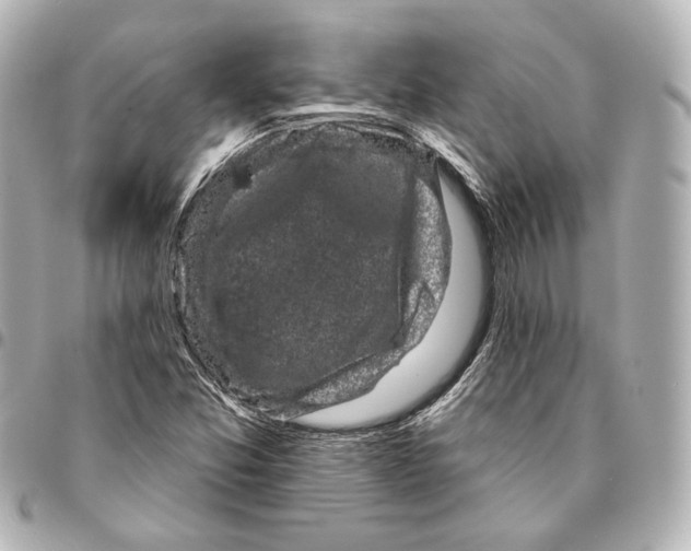 X0000094941357200712201106