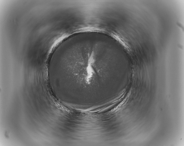 X0000094941358200712201106