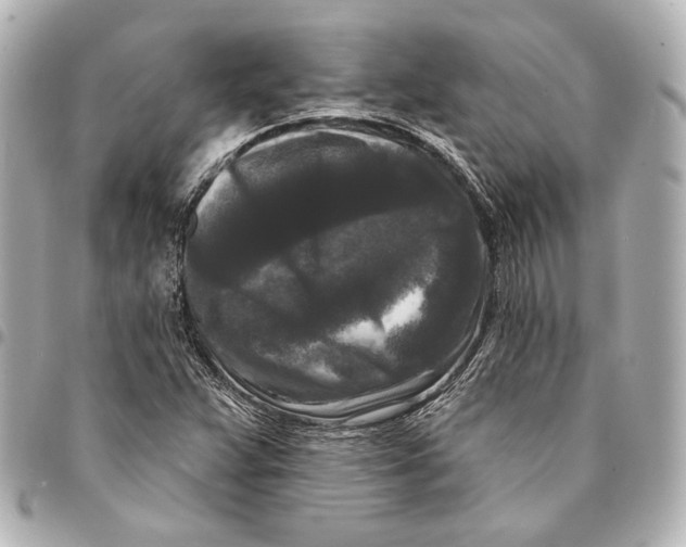 X0000094941359200712201106