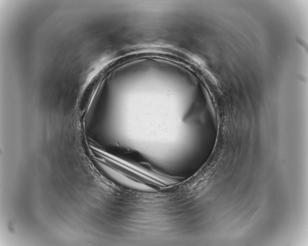 X0000094941360200712201106