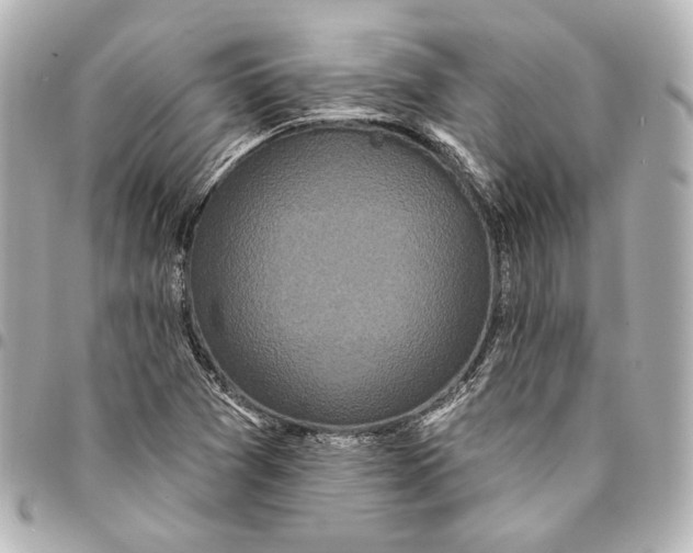 X0000094941361200712201105