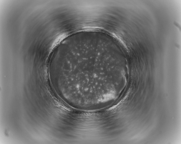 X0000094941362200712201105