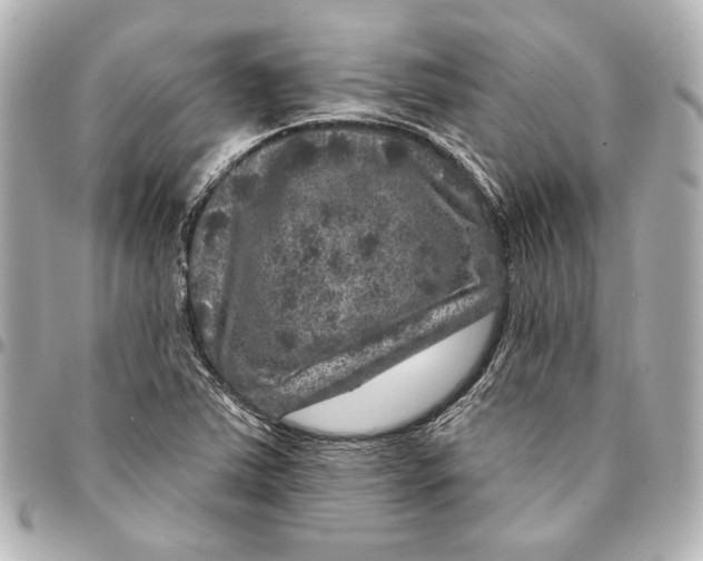 X0000094941363200712201105