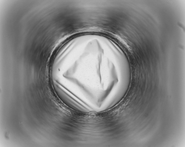 X0000094941364200712201105