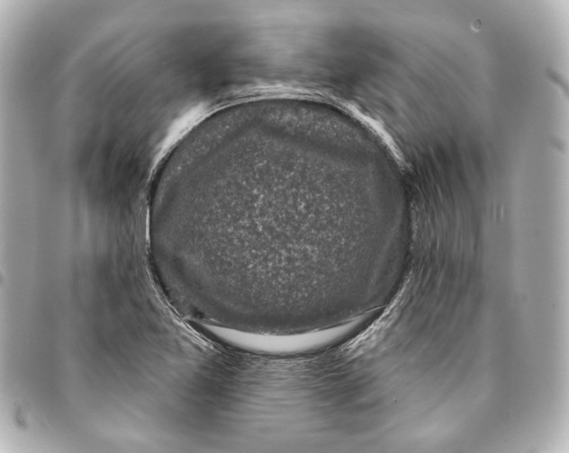 X0000094941365200712201105