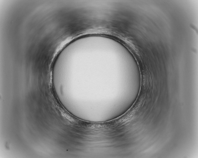 X0000094941366200712201105